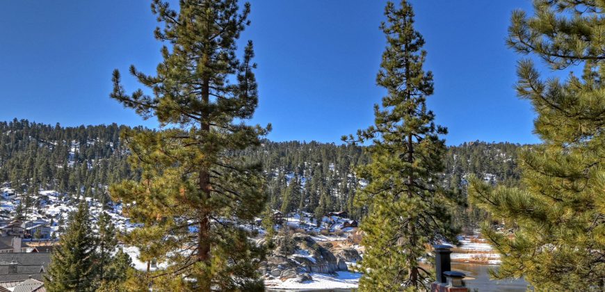 Lakeview Retreat Chalet